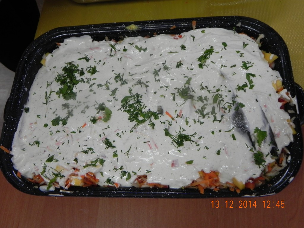 DSCN6609